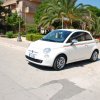 Montevago 2010 (219)